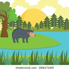 cartoon bear river forest nature