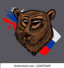 the cartoon bear sketch