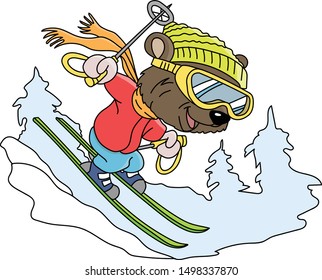 Cartoon bear skiing down the hill vector illustration