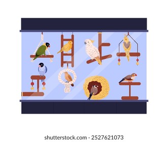 Cartoon beautiful domestic birds sit on hanging wooden swing or toy in glass terrarium. Decorative exotic pet parrots with colorful plumage. Vector Agapornis, Canary, Corella, Amadina, Cockatoo