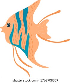 Cartoon beautiful flat fish, marine life, cute ocean animal, wildlife underwater, design, flat style vector illustration. Isolated on white, funny aquarium dweller, child picture, print on fabric.