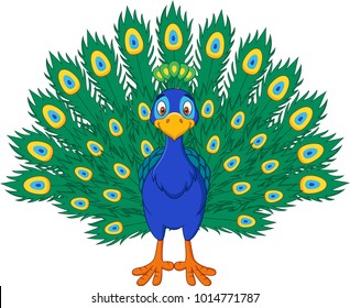 Cartoon beautiful peacock 