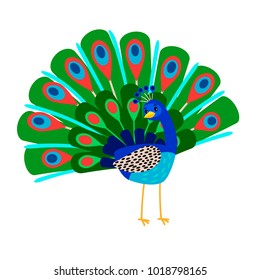 Cartoon beautiful peacock bird icon on white background, vector illustration