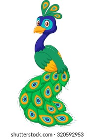 Cartoon beauty peacock isolated on white background 