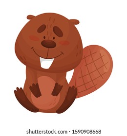 Cartoon Beaver Character Sitting and Showing His Teeth Vector Illustration