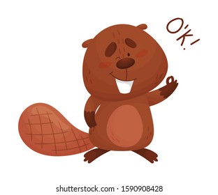 Cartoon Beaver Character Standing and Showing Ok Gesture Vector Illustration