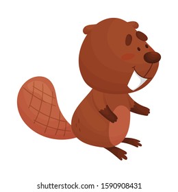 Cartoon Beaver Character Standing and Showing His Teeth Vector Illustration