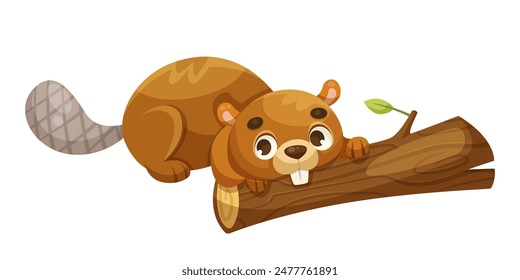 Un castor de dibujos animados masticando un tronco sobre un fondo blanco. Concepto de animales forestales. Ilustración vectorial