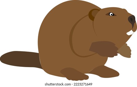 Cartoon beaver. Cute funny animal. Wild animal. Vector illustration.