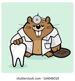 Cartoon beaver dentist doctor smiling and holding a healthy tooth. Cartoon beaver dentist with clean teeth. Vector Illustration