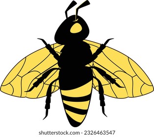 Cartoon bee icon set. Bee flying on a dotted route isolated on the white background. Vector illustration.Bee logo