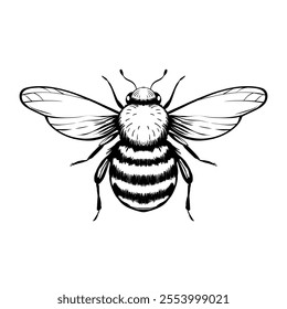 Cartoon bee mascot. A small bees flies. Wasp collection. Vector characters. Incest icon. Template design for invitation, cards. Doodle style.