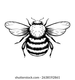 Cartoon bee mascot. A small bees flies. Wasp collection. Vector characters. Incest icon. Template design for invitation, cards. Doodle style.