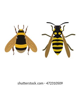 Cartoon bee and sweet yellow bee