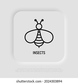 Cartoon bee thin line icon. Modern vector illustration of insect.
