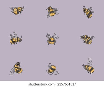 Cartoon bees icon set. Honey Bee vector illustration.