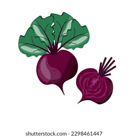 Cartoon Beet. Beetroot Slice vector illustration. Red Vegetables isolated on transparent background.