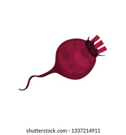 Cartoon beet on white background. Root vegetable.