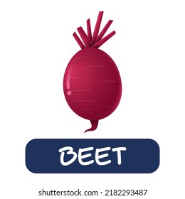 cartoon beet vegetables vector isolated on white background