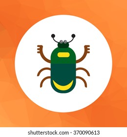 Cartoon beetle icon 1