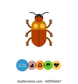Cartoon beetle icon 2