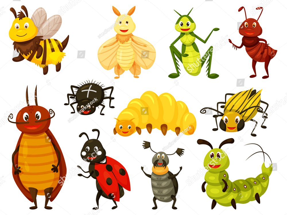 https://image.shutterstock.com/image-vector/cartoon-beetle-kawai-bug-isolated-1000w-1788643757.jpg