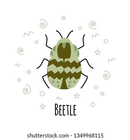 Cartoon beetle vector  illustration isolated on white background. Insect vector card.