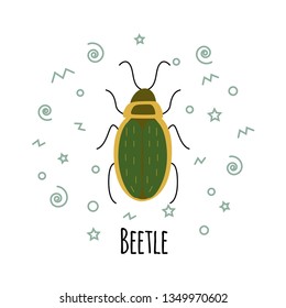 Cartoon beetle vector  illustration isolated on white background. Insect vector card.