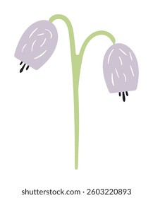 Cartoon bellflower flower hand drawn illustration. Scandinavian style flat design, isolated vector. Meadow blossom, bloom, wild floral, botanical element. Kids seasonal clip art, spring, summer print.