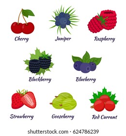Cartoon berries menu. Raspberry, blackberry, gooseberry, red currant, black currant. Flat vector style.