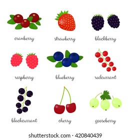 Cartoon berries with names isolated on white background. Cranberry, strawberry, blackberry, raspberry, blueberry, redcurrant, blackcurrant, cherry, gooseberry.