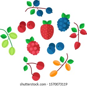 Cartoon berries. Strawberry raspberry cherry blueberry gooseberry blackberry buckthorn. Cartoon berry vector isolated set.