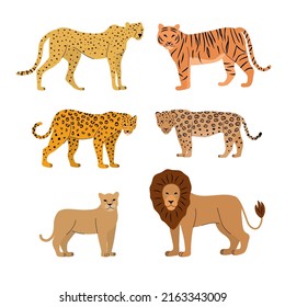 Cartoon big cats vector set. Illustration of jaguar, leopard, cheetah, tiger, lion, lioness. Differences. Spots skin.