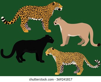 Cartoon big cats vector set. Illustration of black panther, cougar, jaguar, leopard.