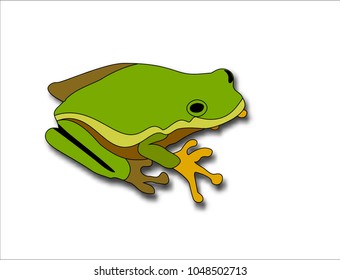 Cartoon big green frog on a white background.
