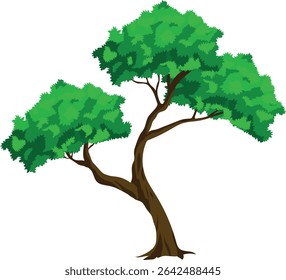 Cartoon Big Green Tree Vector – Isolated Oak with Thick Trunk and Roots for Animation


