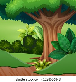 Cartoon of a big tree at the forest