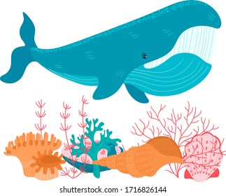 Cartoon big whale and marine shell on the ocean bottom isolated on white, vector, illustration. Large sea world dweller with small seashell and algae, undersea fauna of tropics. Wildlife in underwater