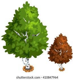 Cartoon birch tree. Vector illustration.