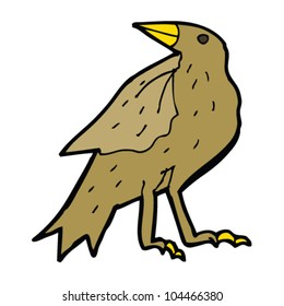 cartoon bird cartoon bird