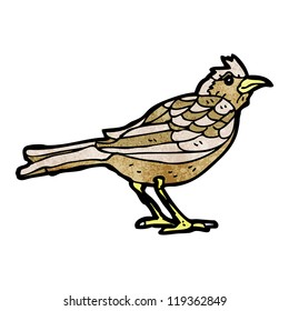 pájaro caricaturista