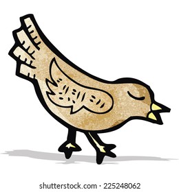 pájaro caricaturista