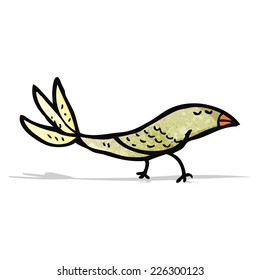 Cartoon-Vogel