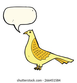 cartoon bird