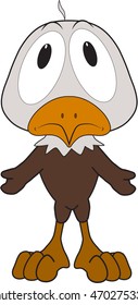 cartoon bird
