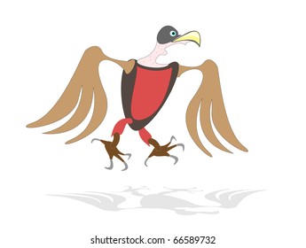 cartoon bird