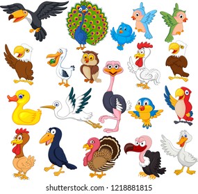 Cartoon bird collection set