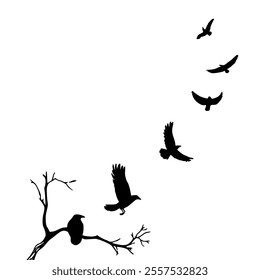 cartoon of bird for coloring pages