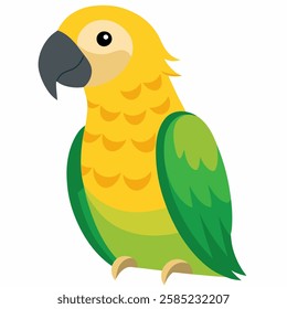 Cartoon bird green Amazon parrot of yellow headed. Colorful exotic bird parrot.Isolated on white background. Side view. Vector illustration. 