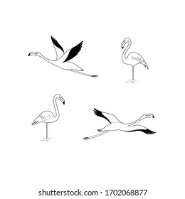 Juego de iconos de pájaro de caricatura. Diferentes poses de flamingo. Ilustración vectorial para impresiones, ropa, embalaje, adhesivos.
